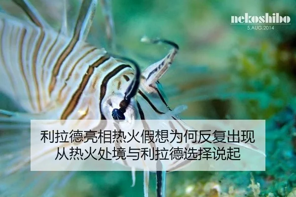 利拉德亮相热火假想为何反复出现 从热火处境与利拉德选择说起（leyu）
